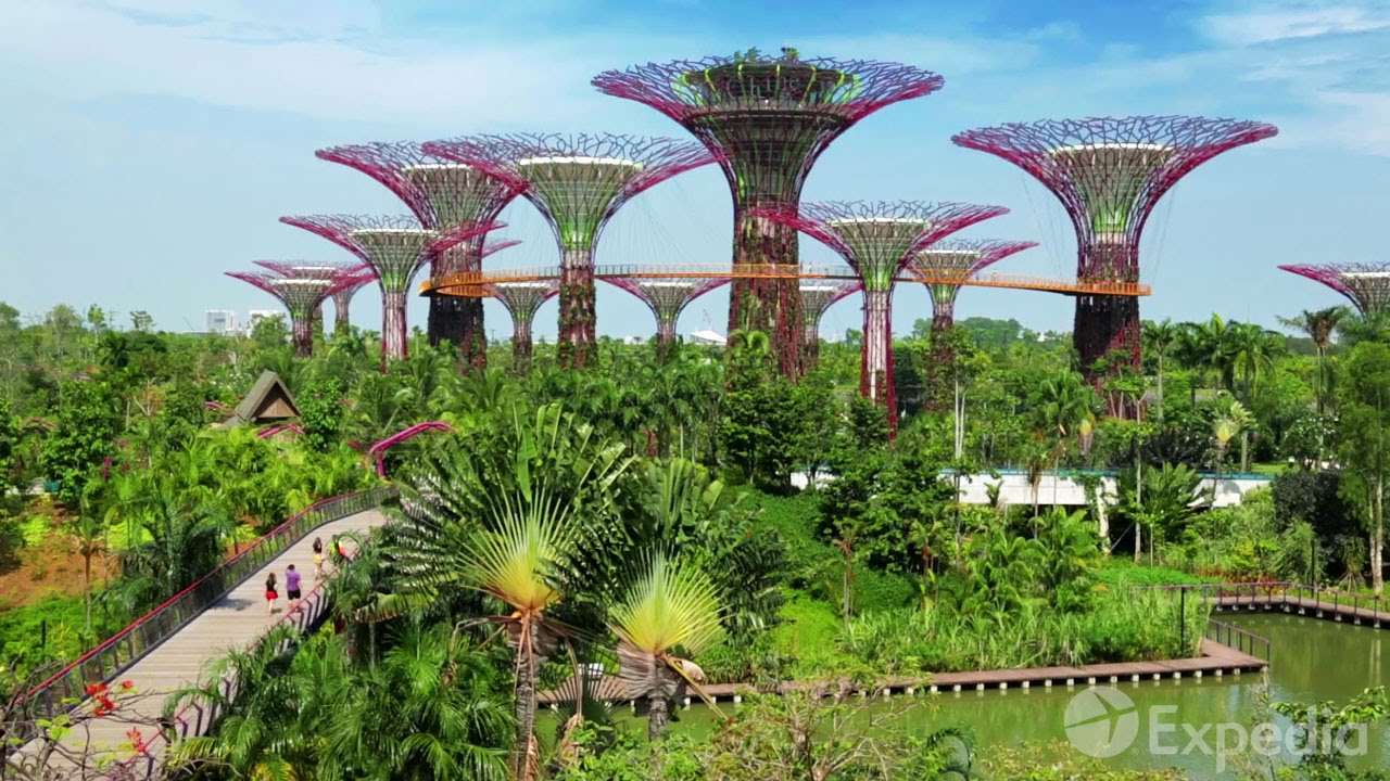 Singapore Vacation Travel Guide | Expedia
